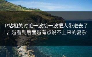 P站相关讨论一波接一波把人带进去了，越看到后面越有点说不上来的复杂
