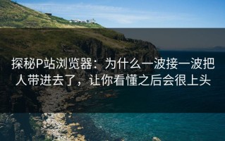 探秘P站浏览器：为什么一波接一波把人带进去了，让你看懂之后会很上头