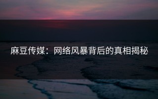 麻豆传媒：网络风暴背后的真相揭秘