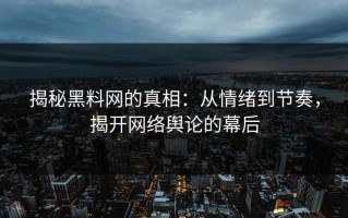 揭秘黑料网的真相：从情绪到节奏，揭开网络舆论的幕后