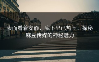 表面看着安静，底下早已热闹：探秘麻豆传媒的神秘魅力
