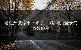 刚点开就停不下来了，p站网页登录的奇妙旅程