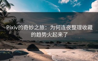 Pixiv的奇妙之旅：为何连夜整理收藏的趋势火起来了