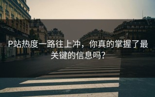 P站热度一路往上冲，你真的掌握了最关键的信息吗？