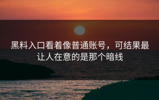 黑料入口看着像普通账号，可结果最让人在意的是那个暗线