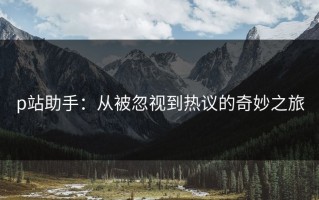 p站助手：从被忽视到热议的奇妙之旅