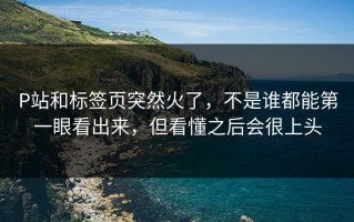 P站和标签页突然火了，不是谁都能第一眼看出来，但看懂之后会很上头