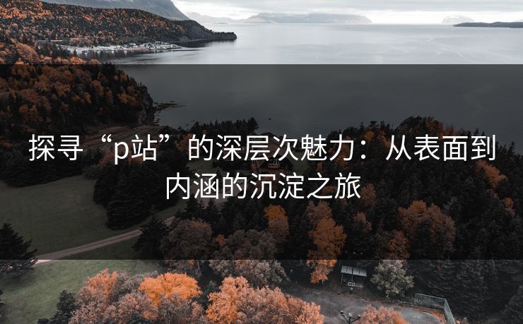探寻“p站”的深层次魅力：从表面到内涵的沉淀之旅-第1张图片-p站网页版影视网 - p站内容页