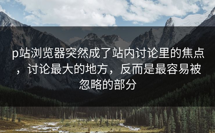 p站浏览器突然成了站内讨论里的焦点，讨论最大的地方，反而是最容易被忽略的部分-第1张图片-p站网页版影视网 - p站内容页