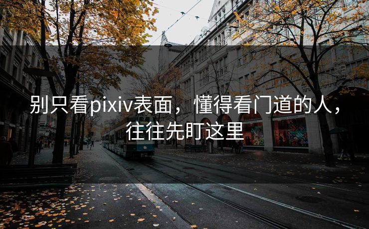 别只看pixiv表面，懂得看门道的人，往往先盯这里-第1张图片-p站网页版影视网 - p站内容页